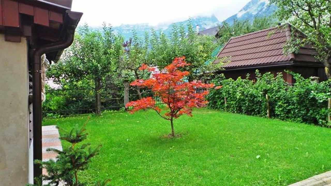 Apartment Rozi *